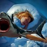 К чему нам может сниться акула в море