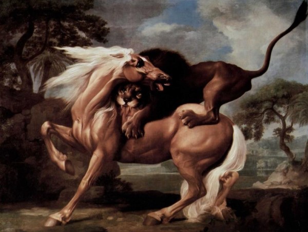 Лев нападает на лошадь