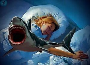 Снится акула