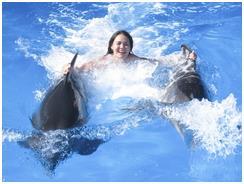 Девушка плывет с дельфинами