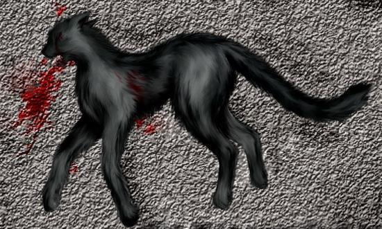 Черная кошка в крови