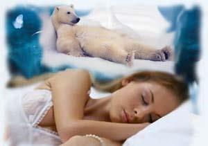Девушке сниться медведь