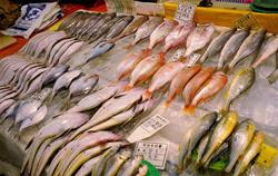 Рыба на рынке