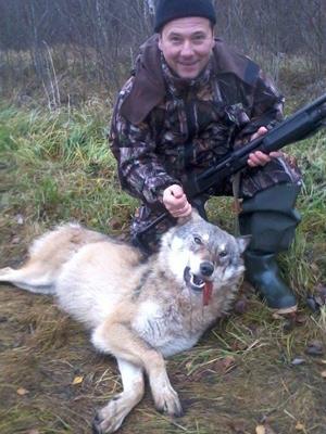 Убить волка