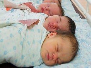 Младенцы в роддоме