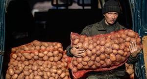 Покупка картофеля